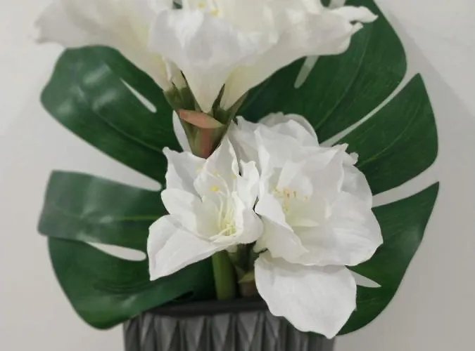 아파트 Ml Aliados 포르투