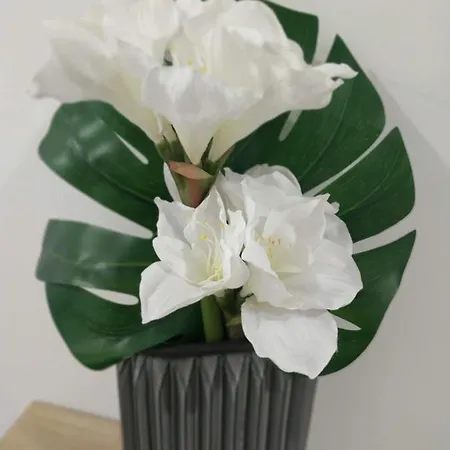 Apartment Ml Aliados Porto